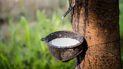 ¿Qué significa el aumento de los precios del caucho natural para nuestra fábr...