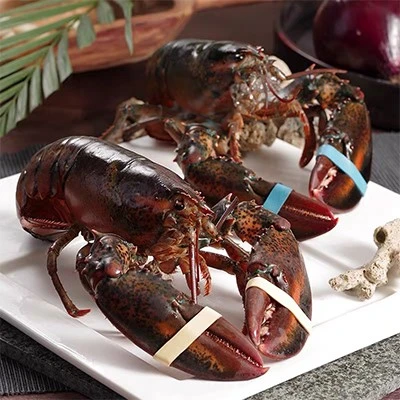 lobster rubber bands lobster rubber bands