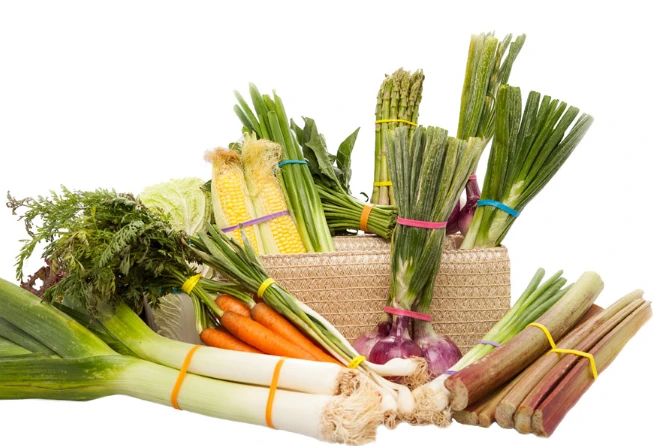 Vegetable Rubber Bands