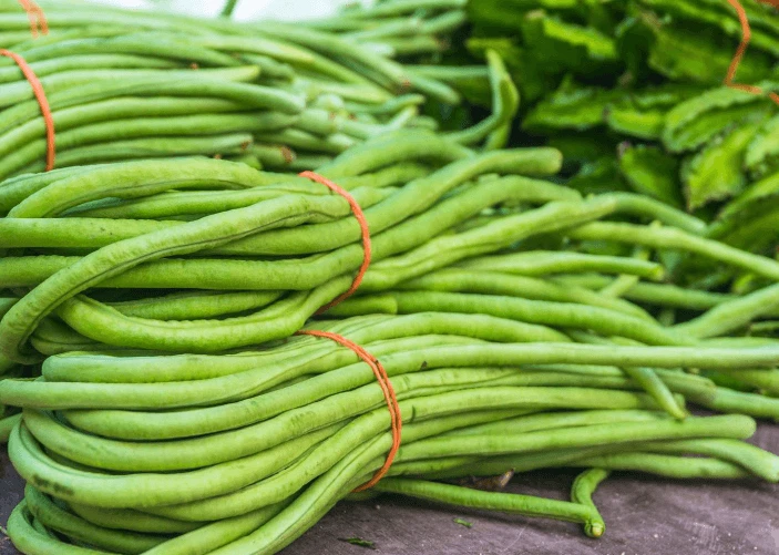Vegetable Rubber Bands